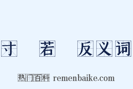 寸陰若歲反义词是什么意思的图片